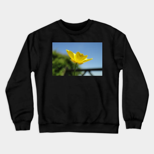 Profile Of A Buttercup Crewneck Sweatshirt by AH64D